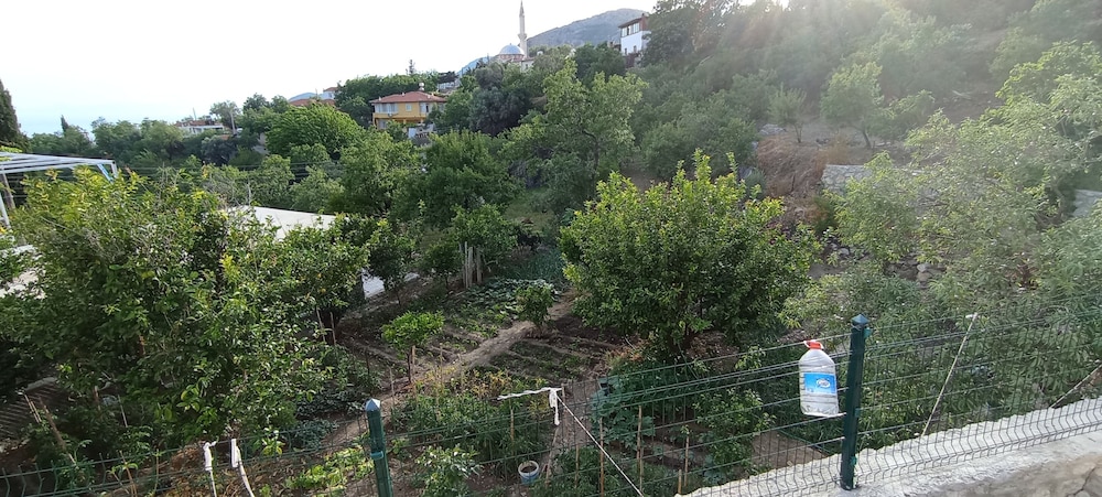 Photo 41