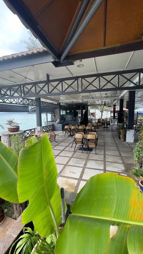 Arwana Perhentian Bluestar