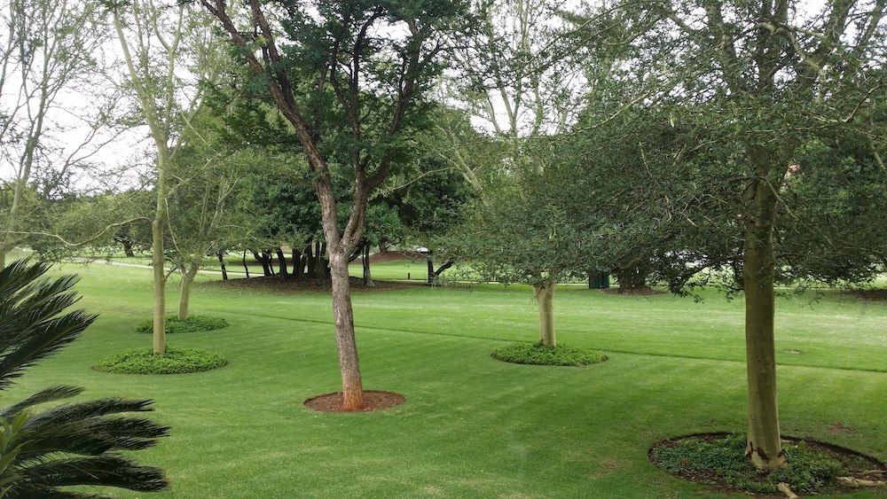The Woodpecker Inn