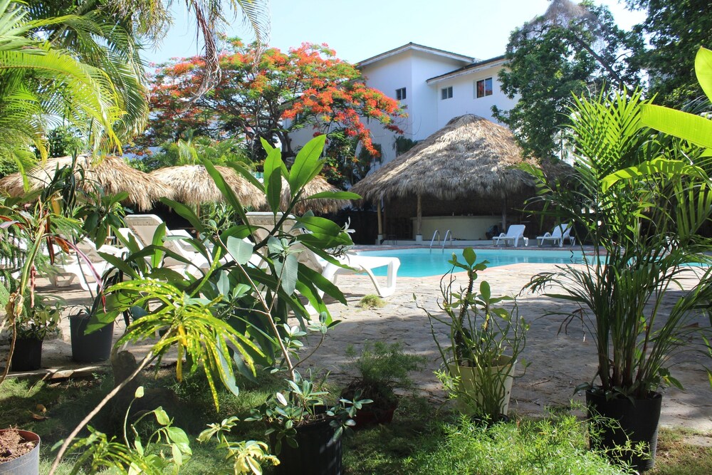 Afreeka Beach Hostel & Music Bar