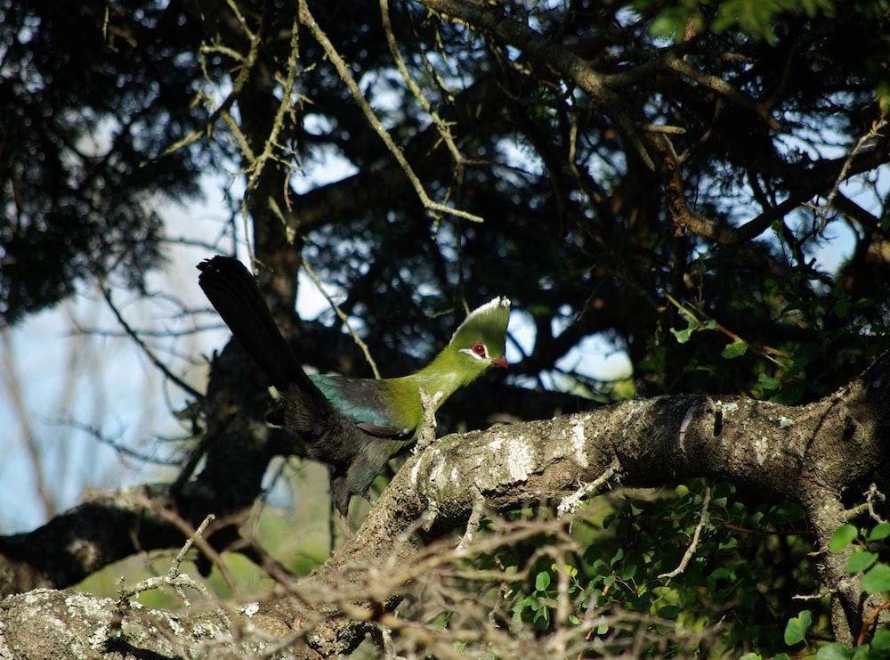 Photo 40