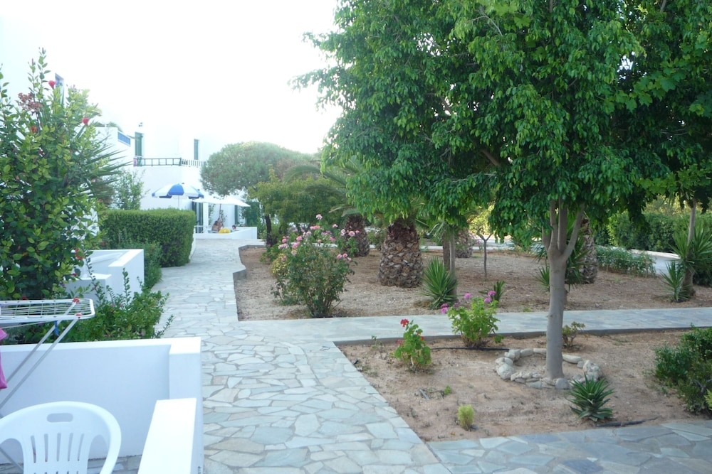 Photo 11