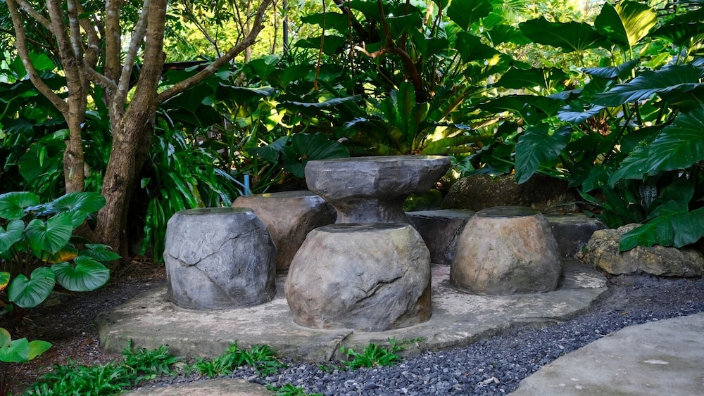 Lush Inn Phuket