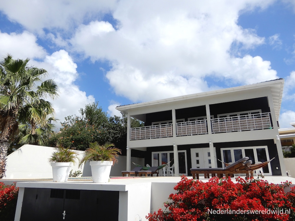 B&B Bellavista