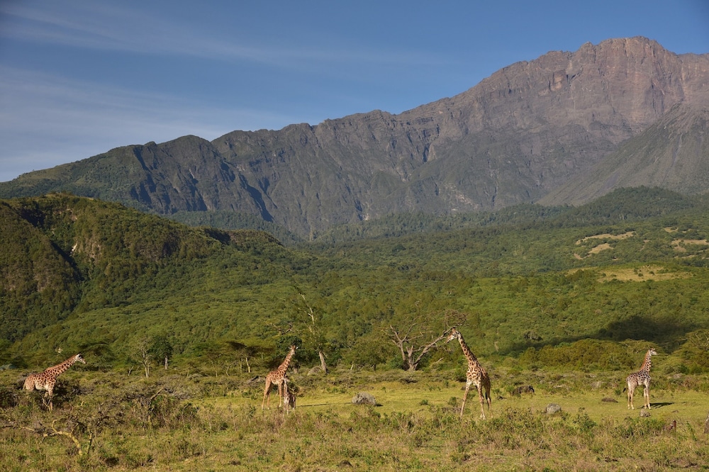 Hatari Lodge