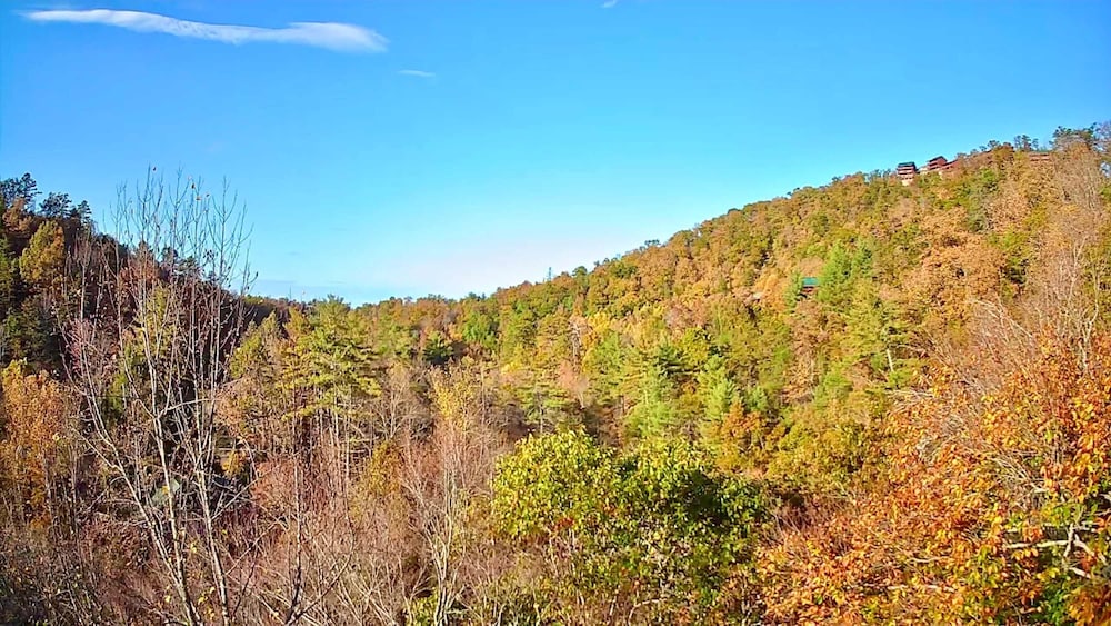 Cove Creek Overlook