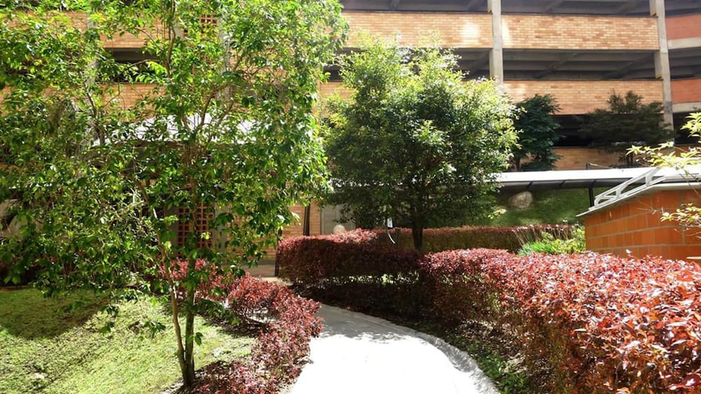 San Diego Campestre view 5