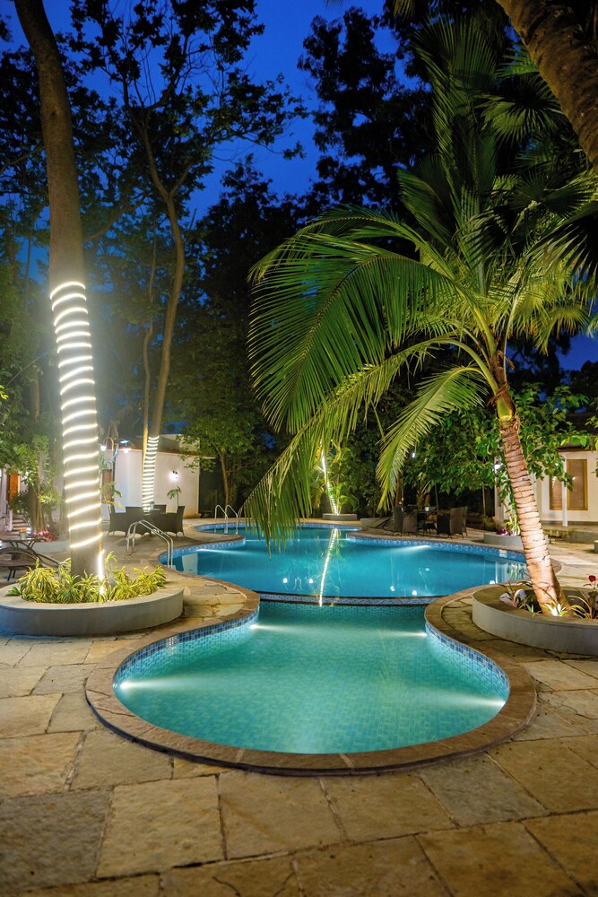Aeraki palms