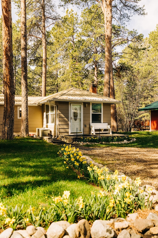 Serene Creek Side Cottage Retreat - Property Image 3