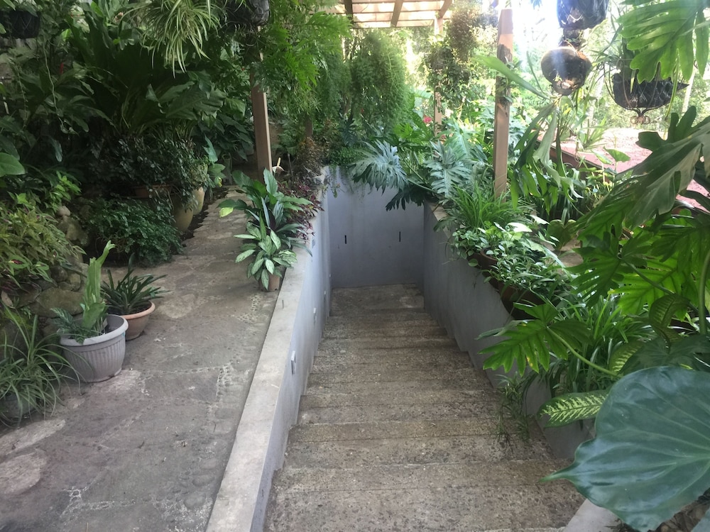 Hotel Hacienda San Miguel Bed&Breakfast
