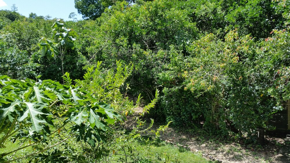 Rock Farm Guest House