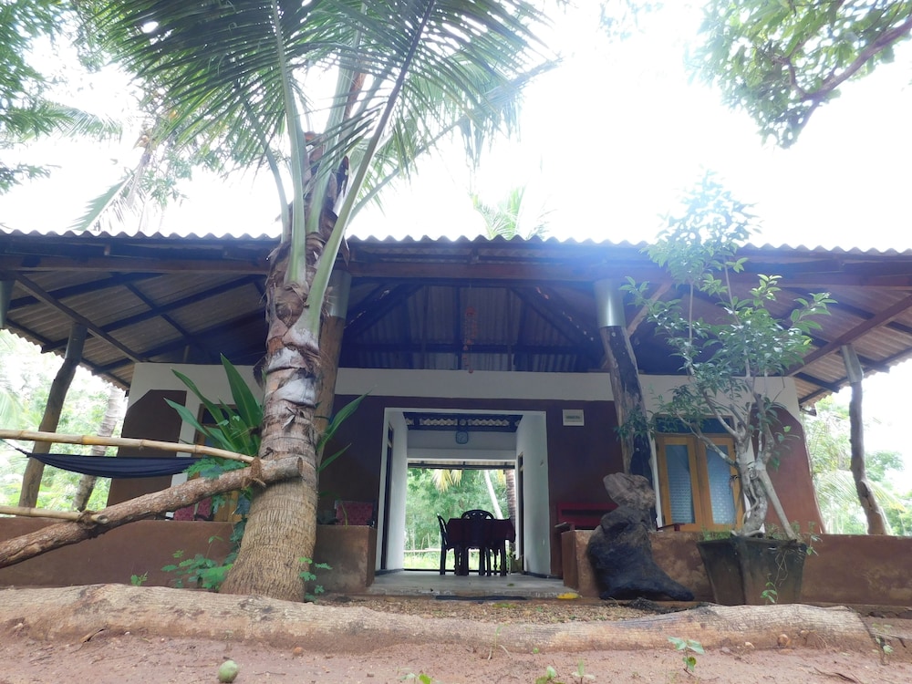 Yala Avian Eye Safari
