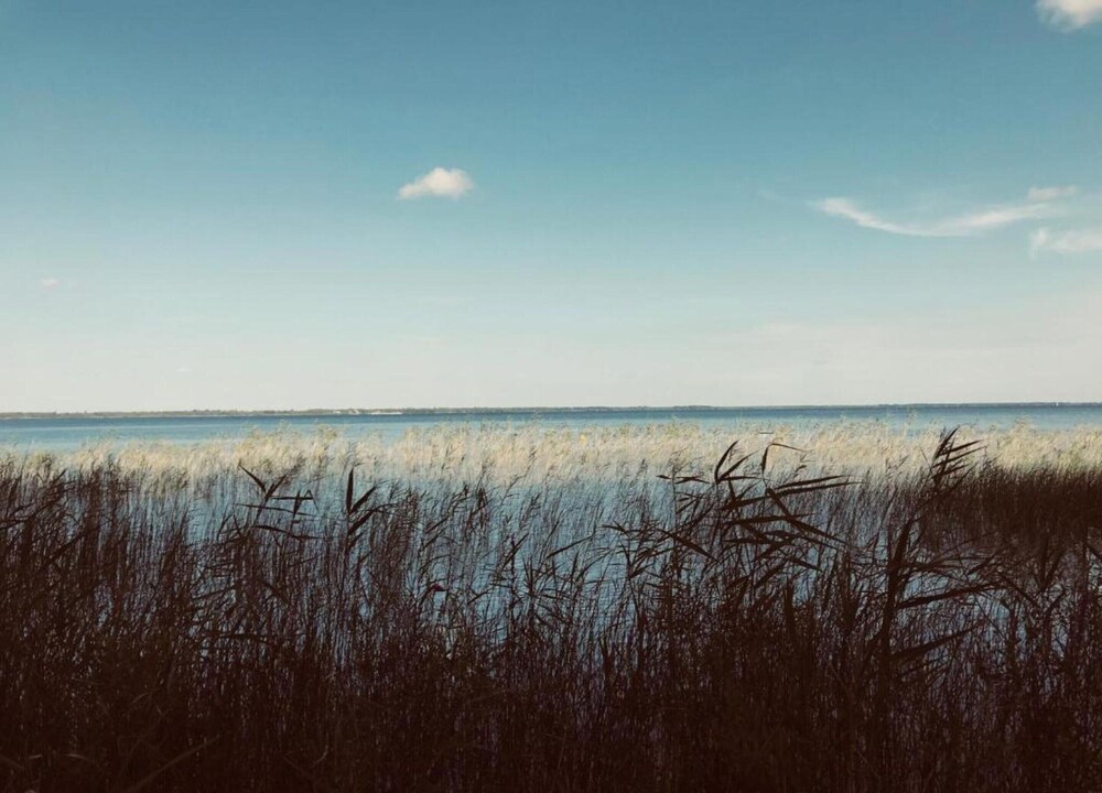 Lakeside Stay w/ Terrace