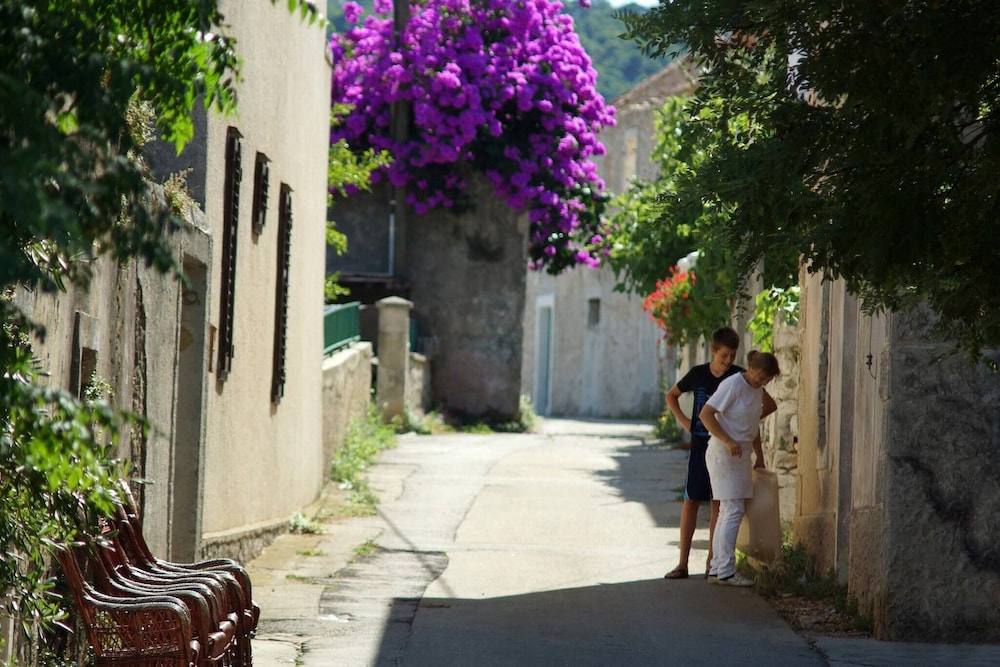 Photo 16
