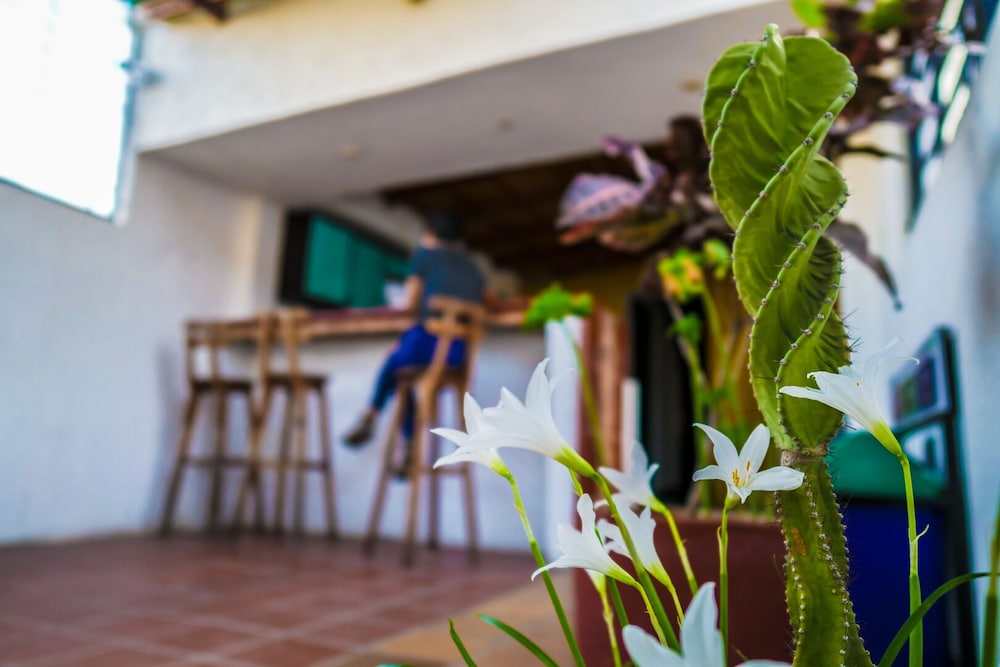 Aluna Hostel B&B