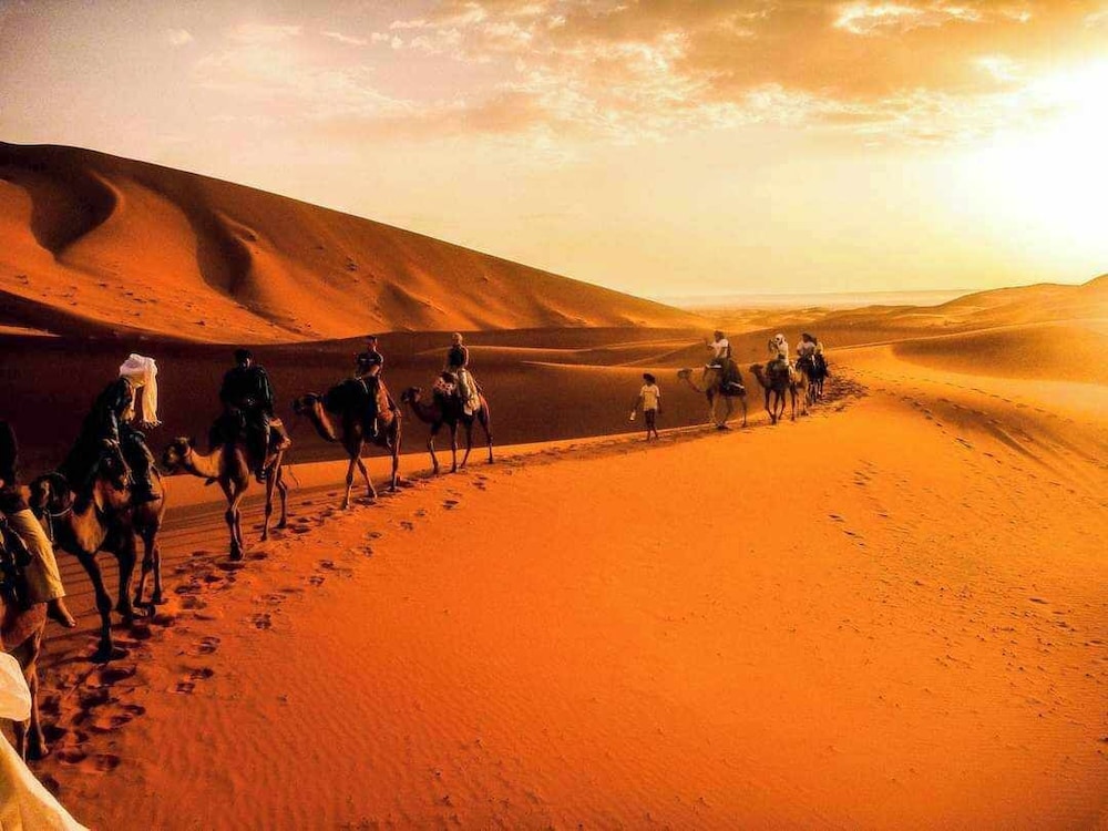 ROYAL DESERT BIVOUAC
