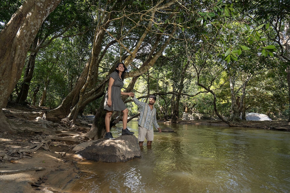 Crystal Kuruva Nature Resort & Spa