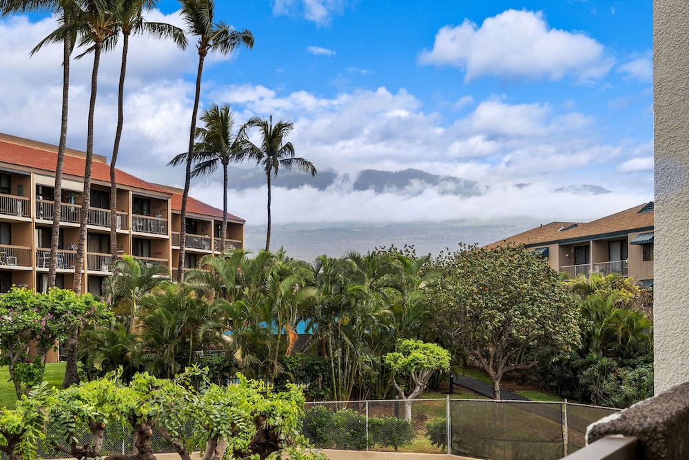 Maui Vista 1-308 - Steps From the Beach, Renovated, Ocean Views, New Windows, AC