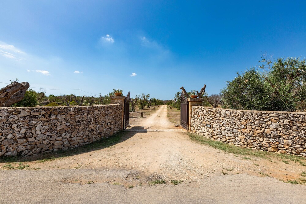 Photo 10