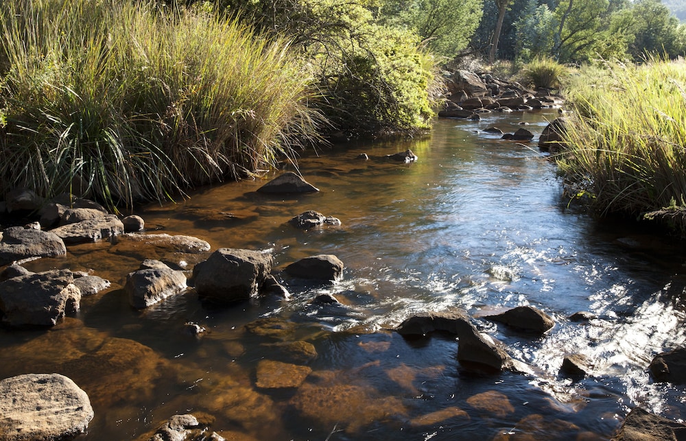 Whispering Waters