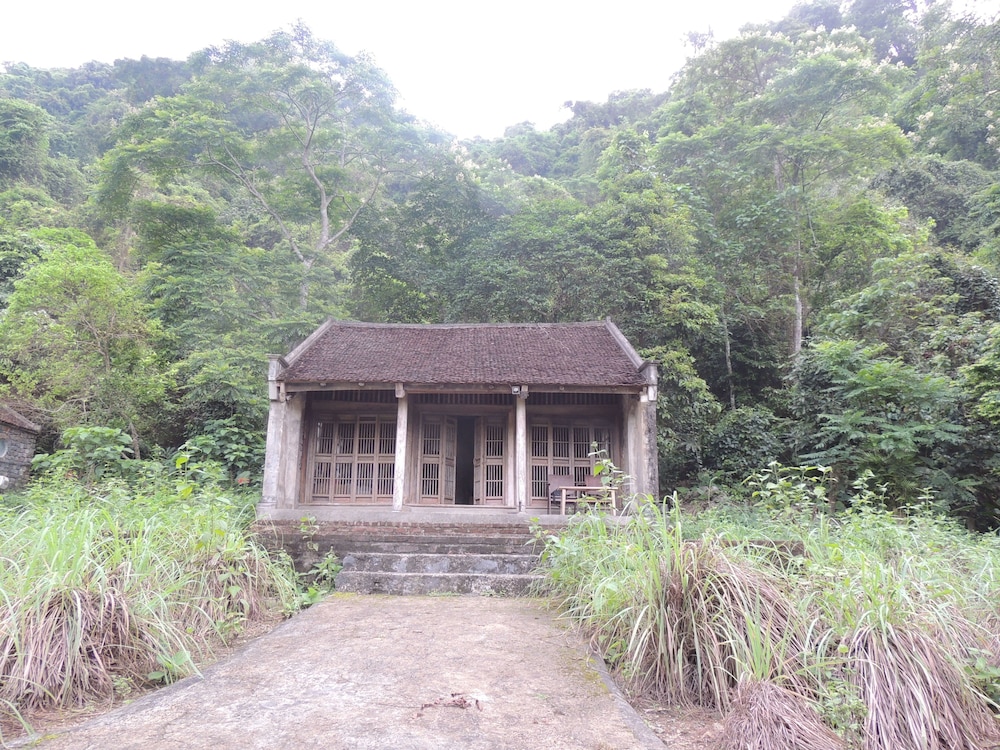The Ancient House