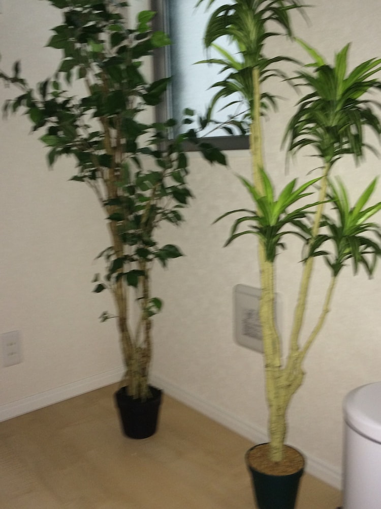 Kasai Guest House, 4min to Kasai Sta, Direct buses to Airport & Disney