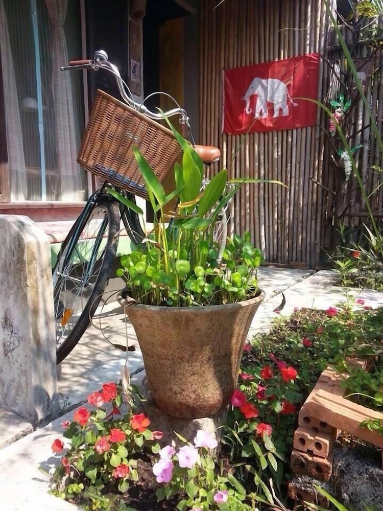 Artist Place Trat