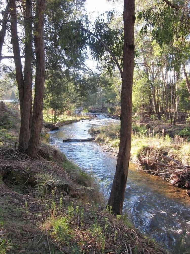 Harrietville Snowline Hotel