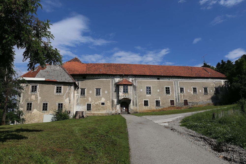 Photo 21