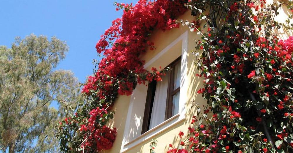 Borgo degli Ulivi Residence