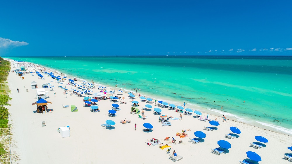 Luxury Vacation Rentals in South Beach by LRMB
