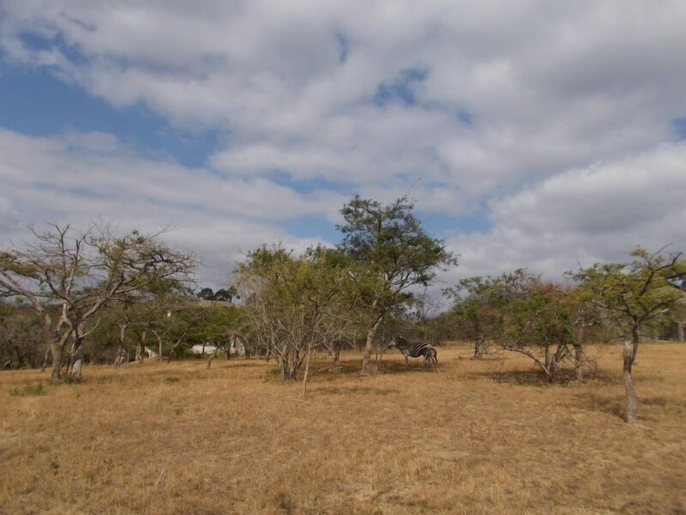 Photo 21