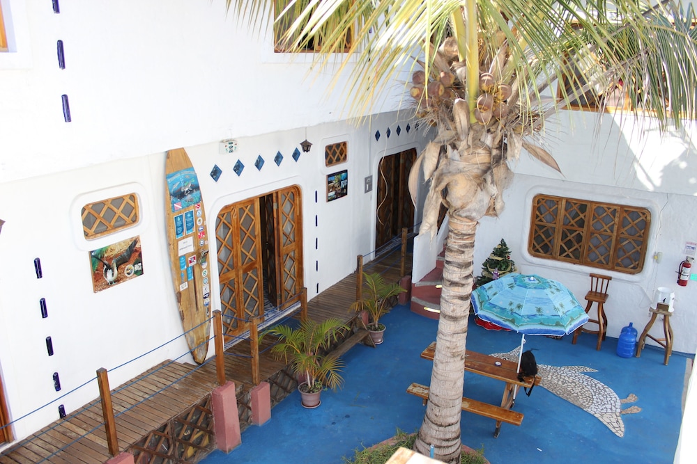 Galapagos Penguin Hostel