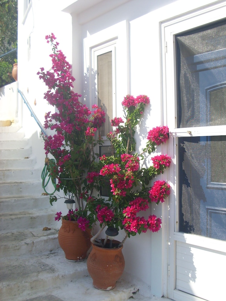Photo 33