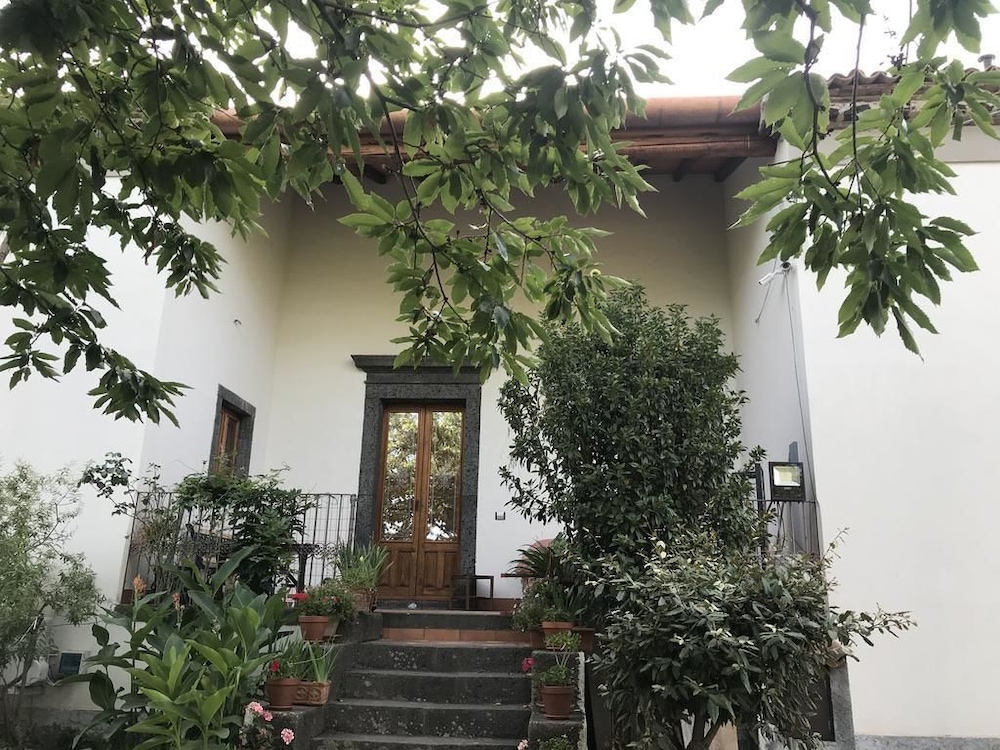 Sole di Sicilia