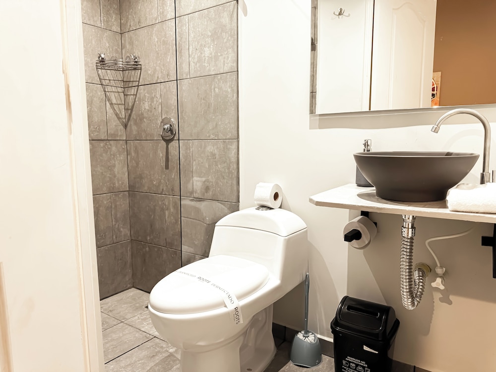 Alojamiento pet-friendly en Medellín, sector Laureles
