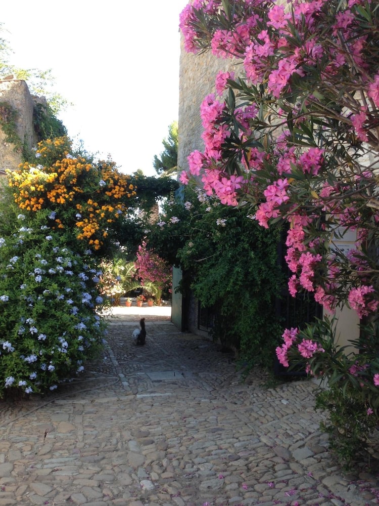 Photo 43