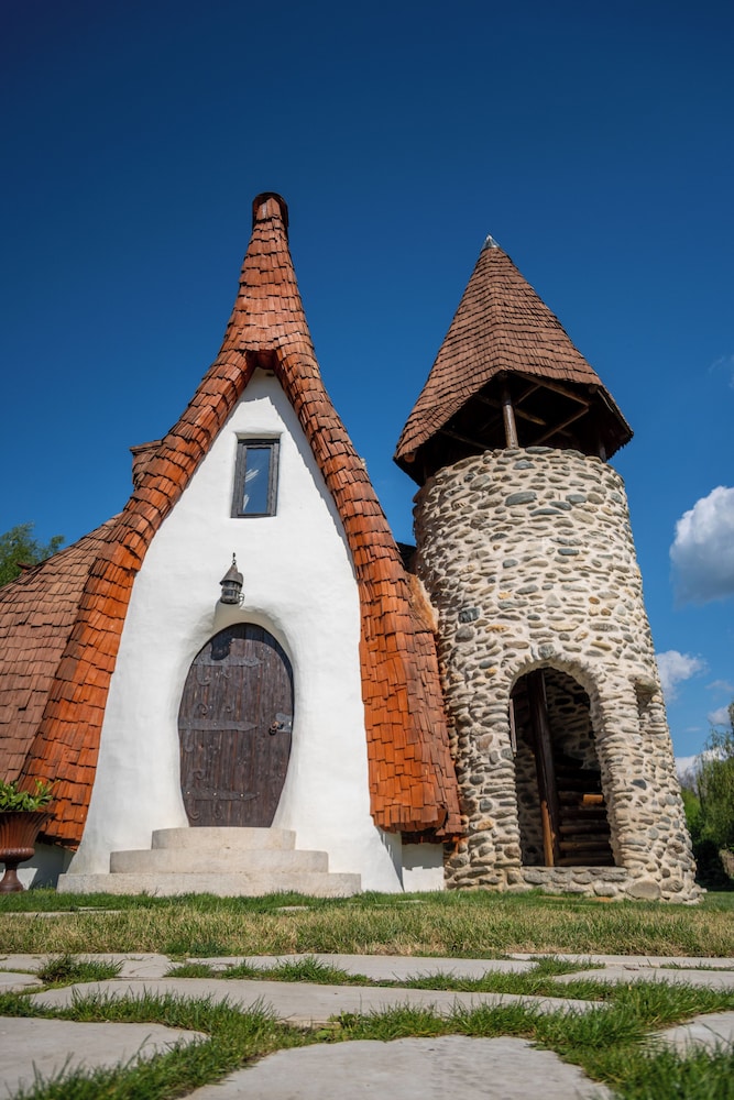 CASTELUL DE LUT