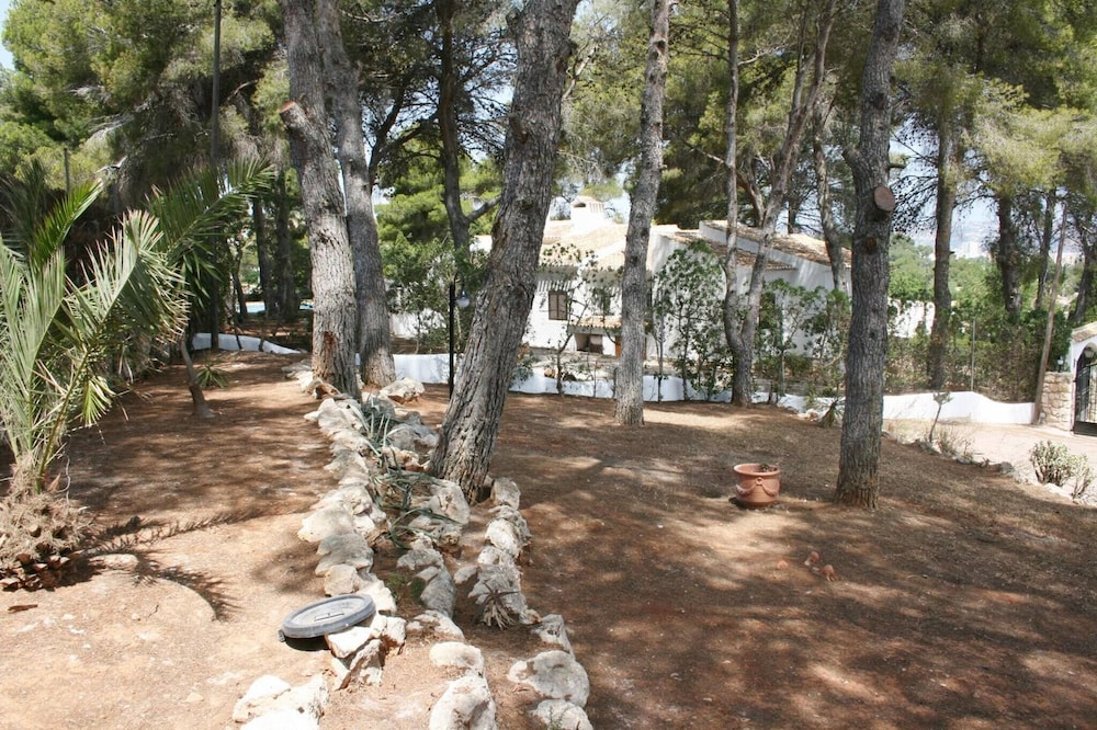 Photo 16