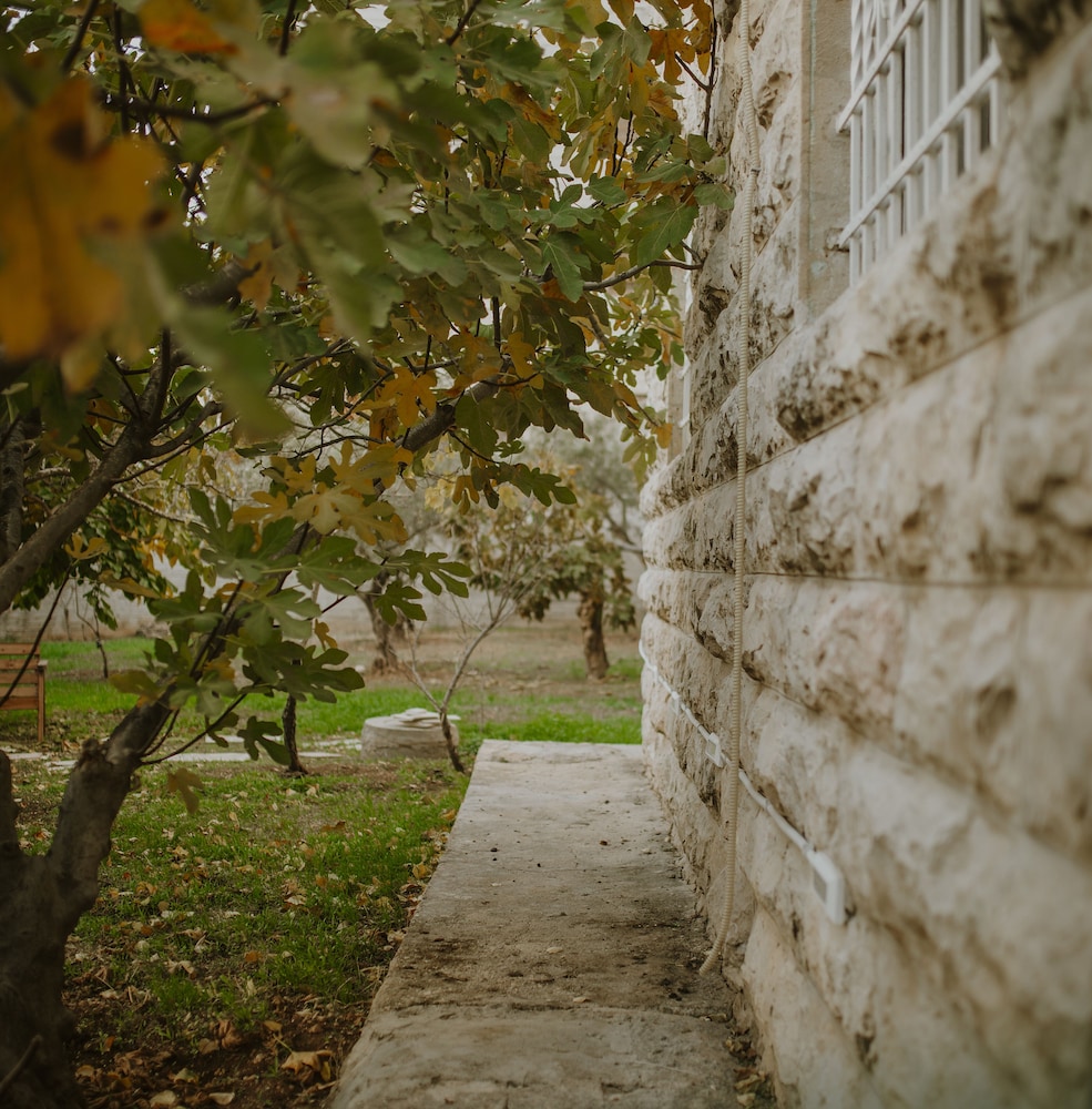OliveTreeHostel, photo 19