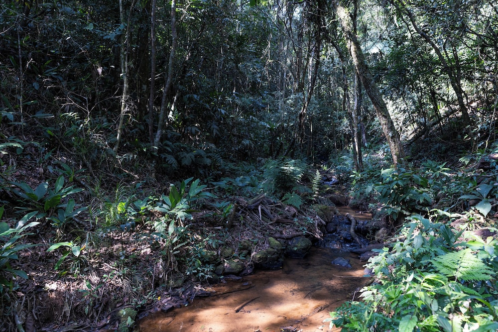 Sitio Natureza piscina e churrasqueira
