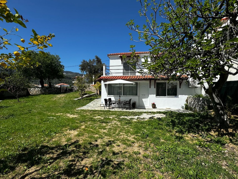 Photo 8
