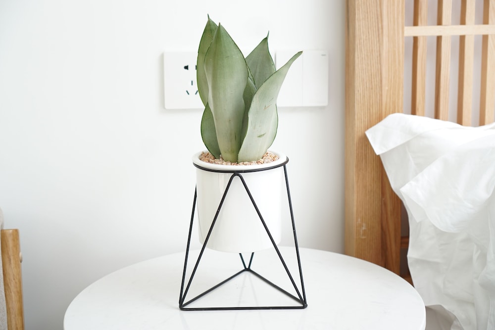 Seem Mountain Hotel Yan Dang - Property Image 40