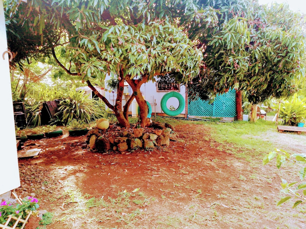 House Honu Rapanui inn