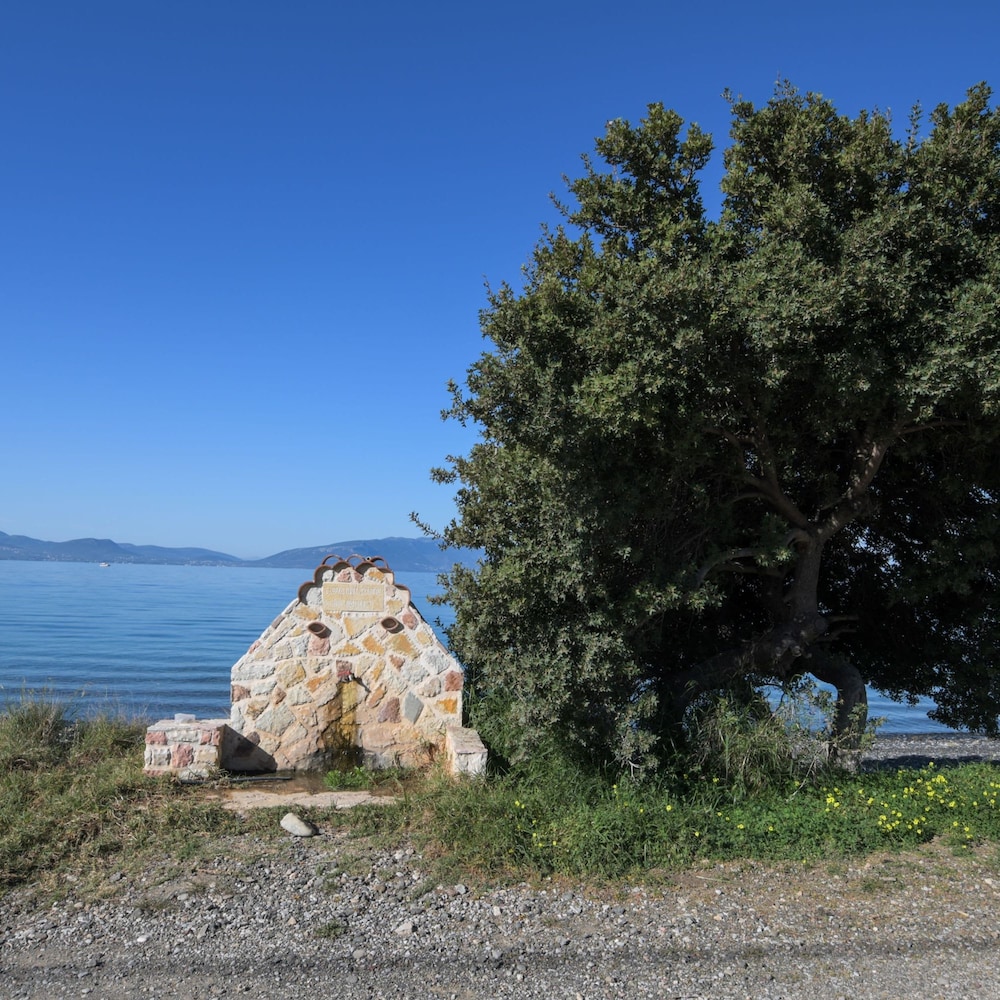 Nerotrivia Villa - Ocean Panorama and Lush Gardens
