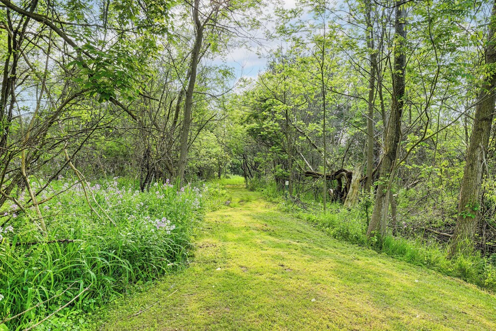 Swim & Sip: Creative Retreat 2 Mi to Owasco Lake