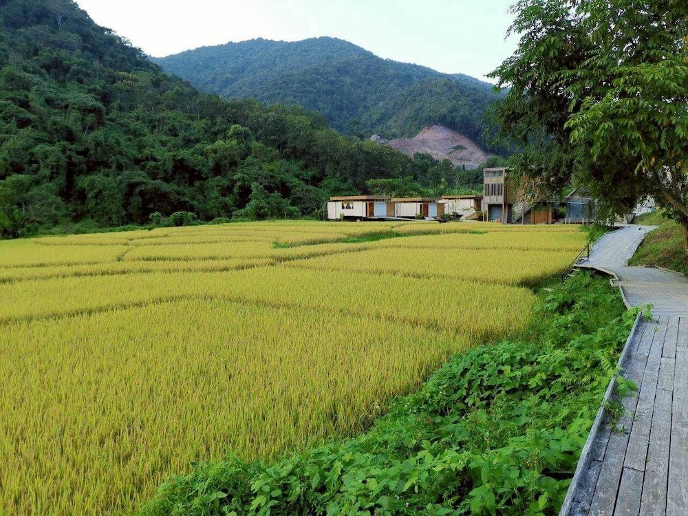 Lomhaijai Homestay