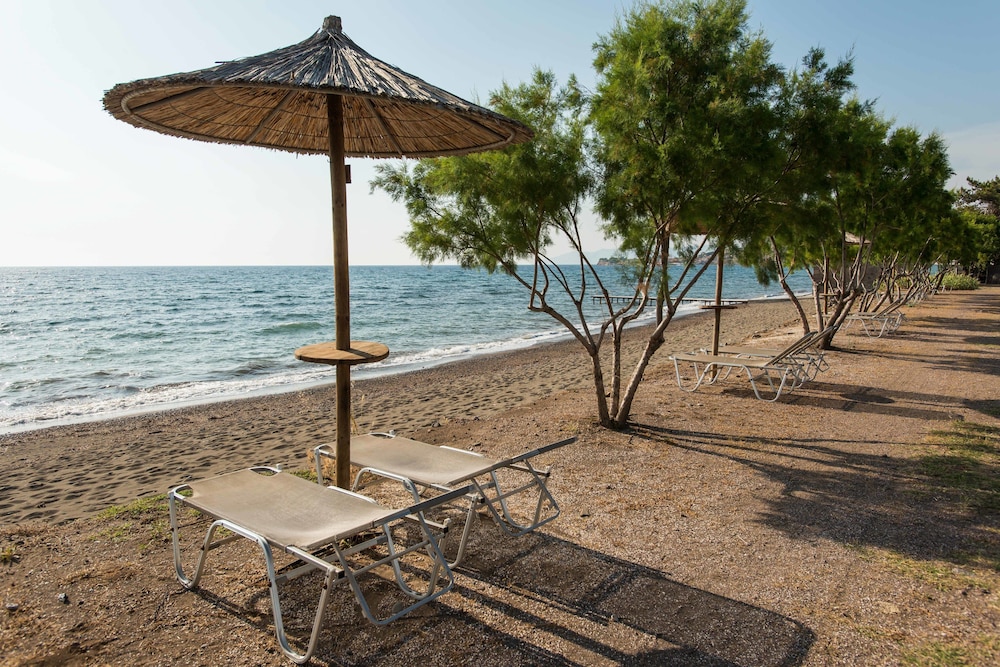 Delfinia Hotel & Bungalows photo 4