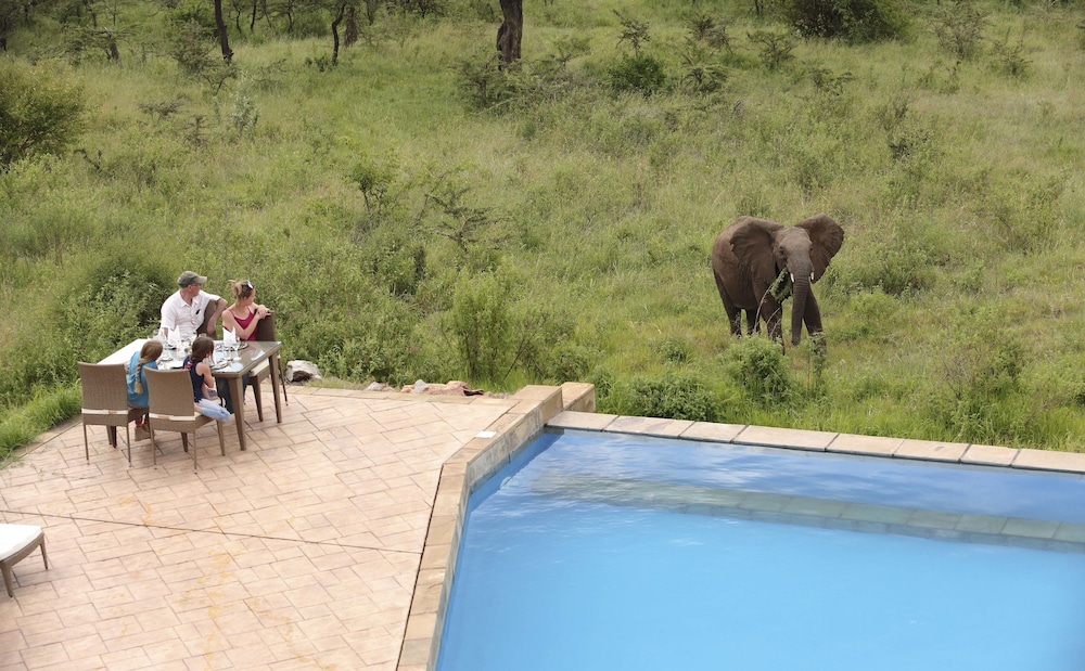 Spirit Of The Masai Mara