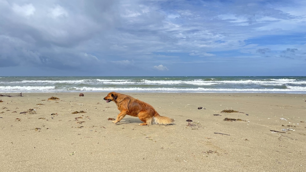 Footprints Beach Resort 164